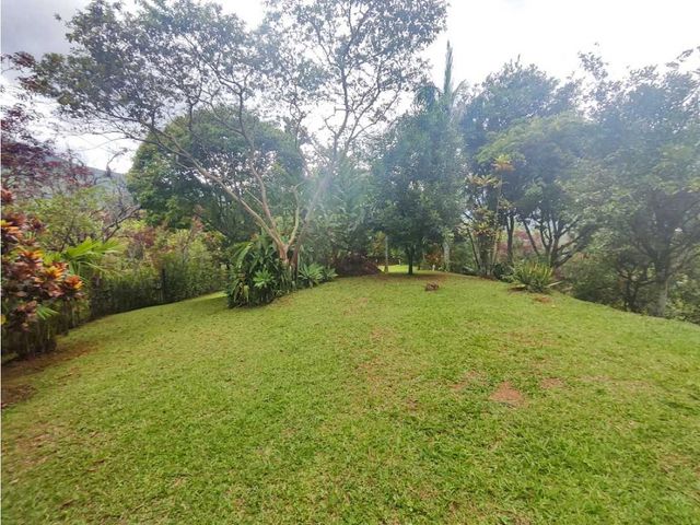 place photo 43