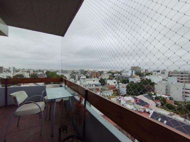 place photo 32
