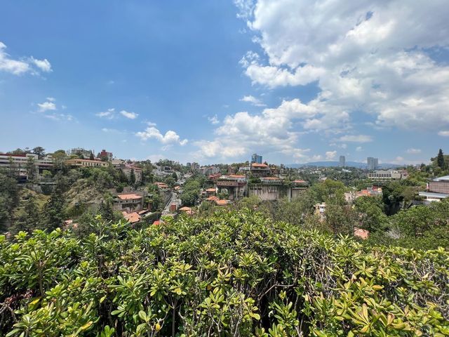 place photo 25