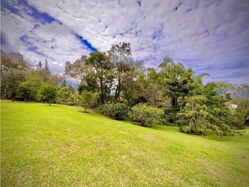 place photo 65