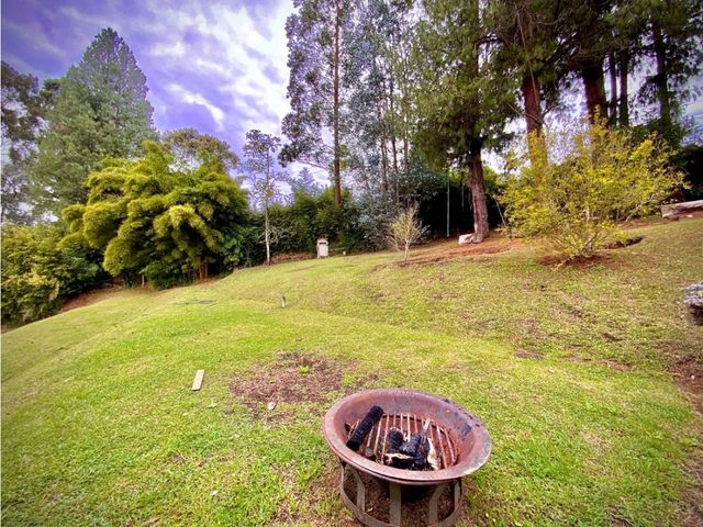 place photo 74
