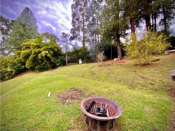 place photo 74