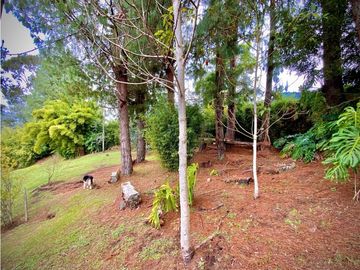place photo 70