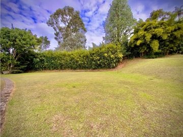 place photo 54