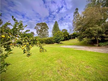 place photo 71