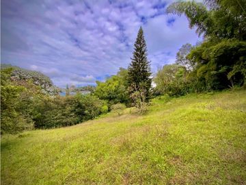 place photo 66