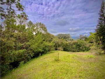place photo 62