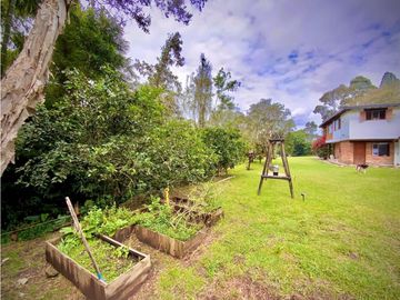 place photo 67