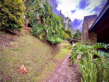 place photo 77