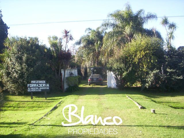 place photo 20