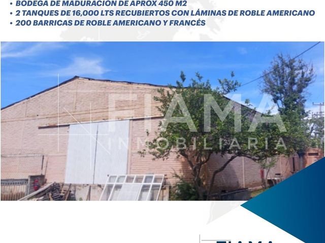 place photo 23