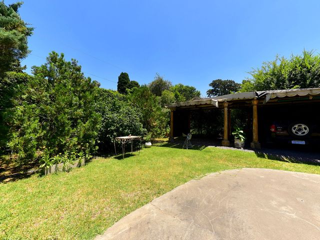 place photo 43