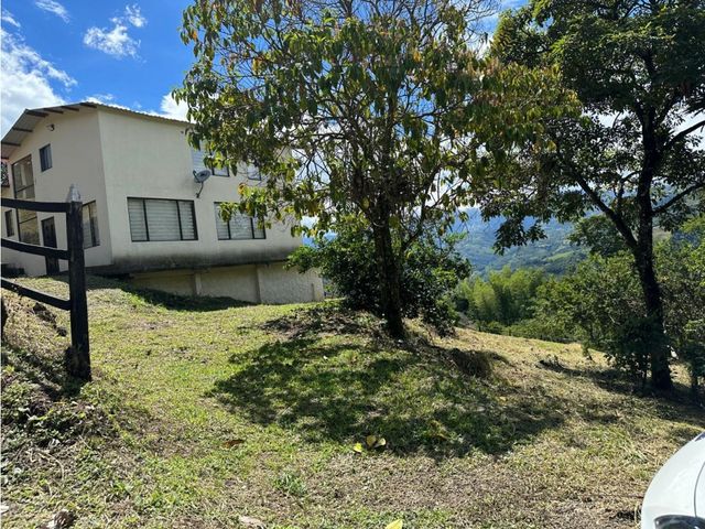 place photo 46