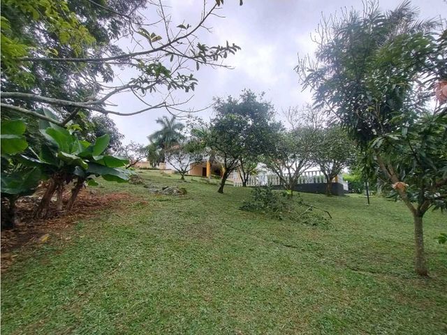 place photo 40