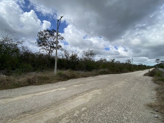 place photo 7