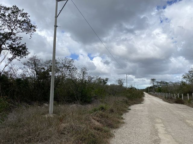 place photo 6