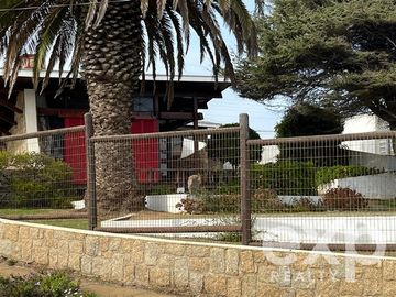 place photo 26