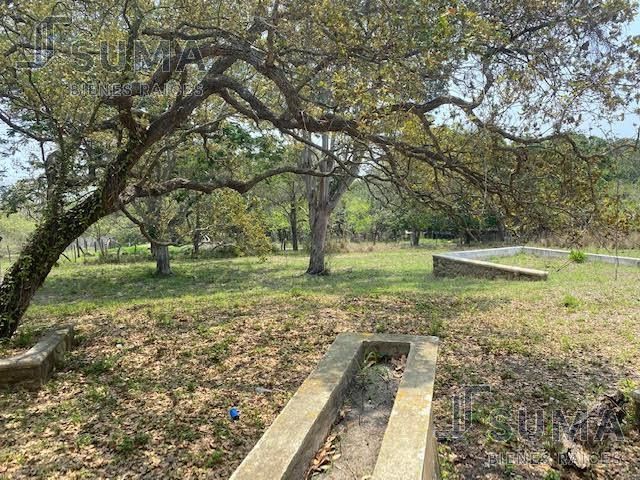 place photo 15