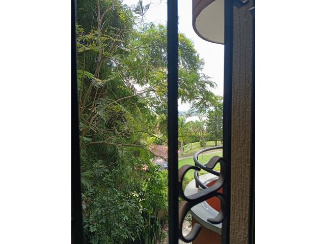 place photo 45