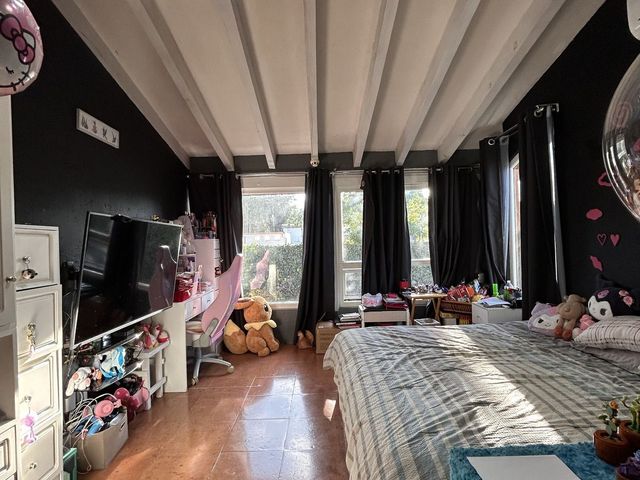 place photo 39