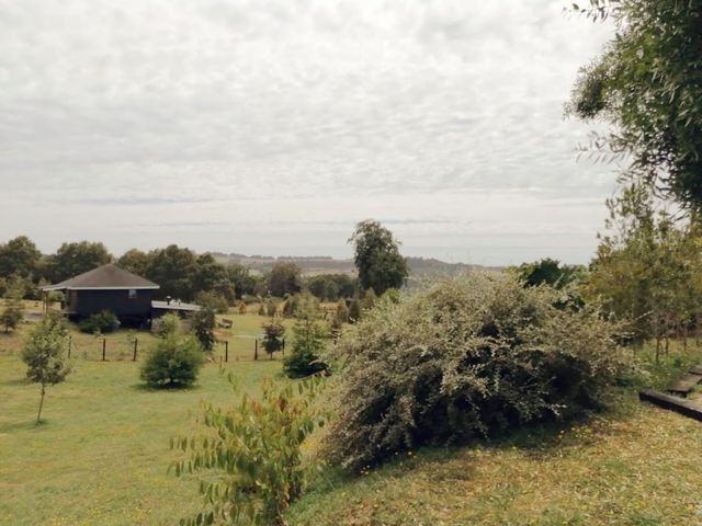 place photo 44