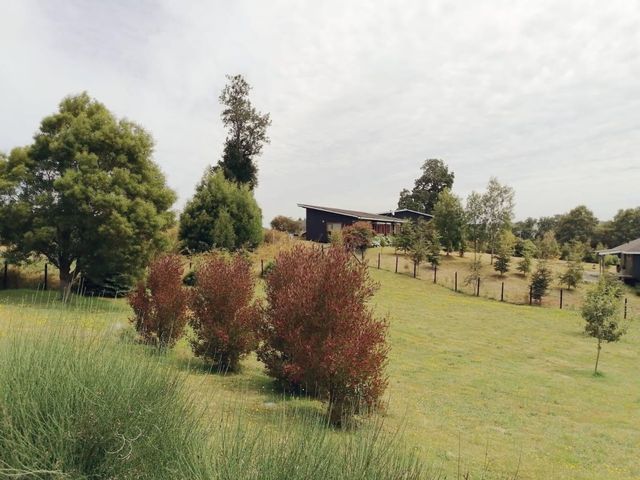 place photo 45