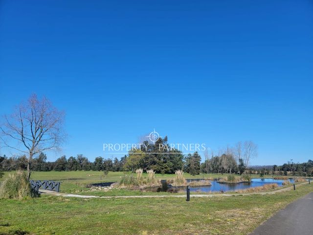 place photo 30