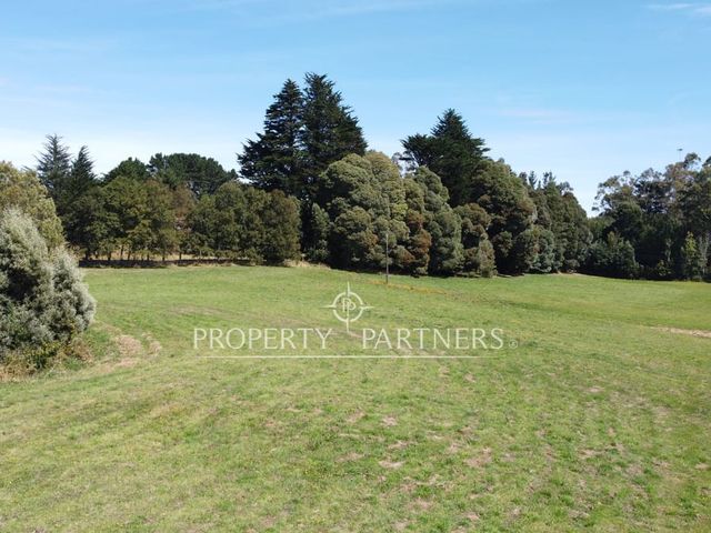place photo 27