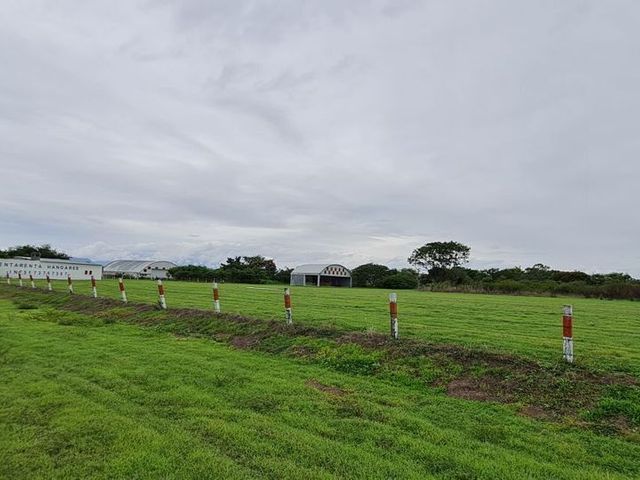 place photo 39