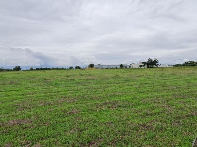 place photo 33
