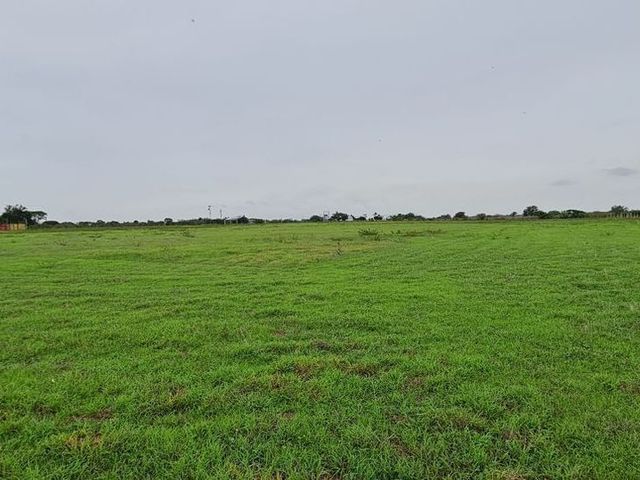 place photo 28