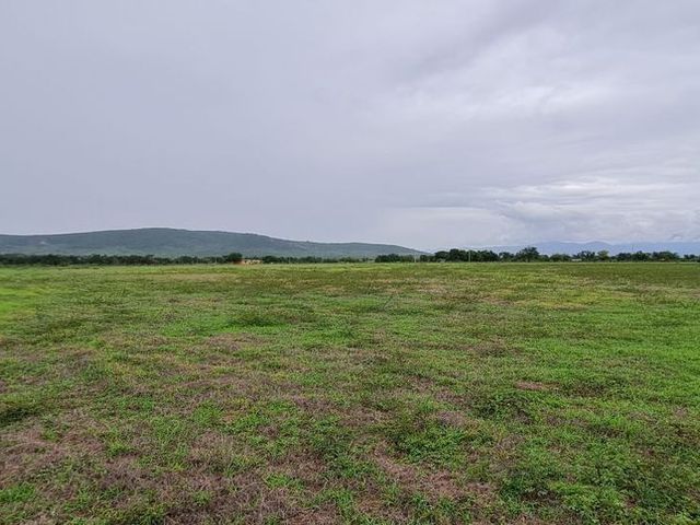 place photo 34