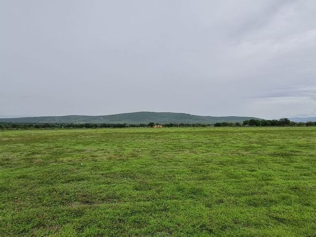 place photo 37