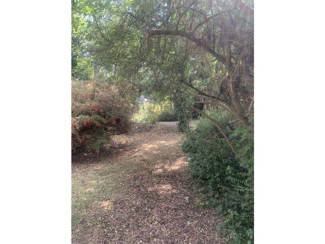 place photo 37