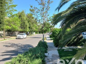 place photo 26