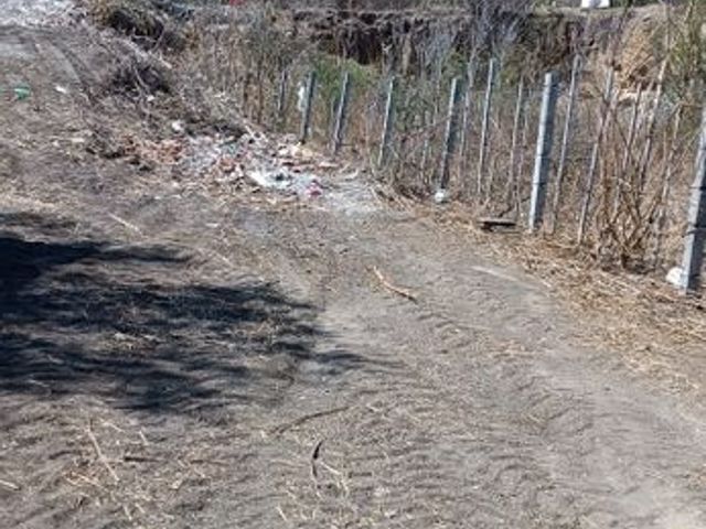 place photo 23