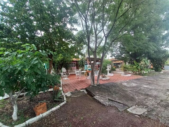 place photo 21
