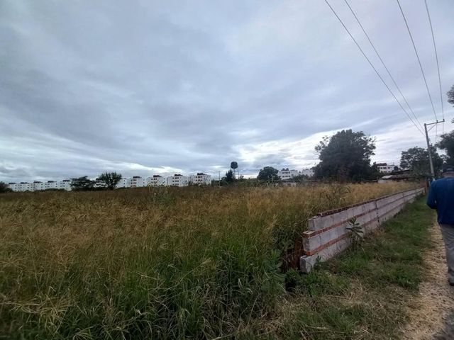 place photo 29