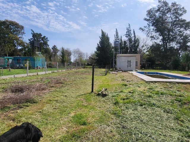 place photo 19