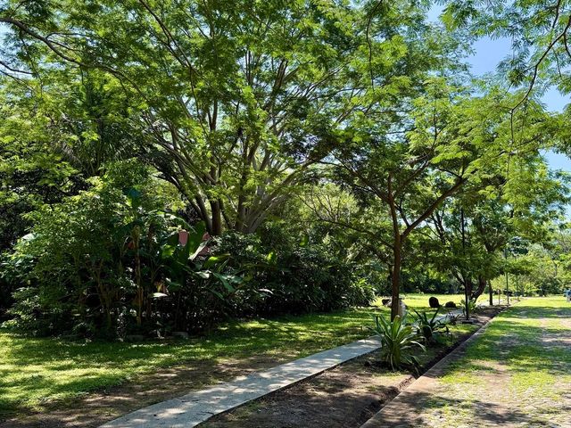 place photo 14