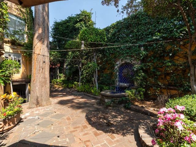 place photo 26
