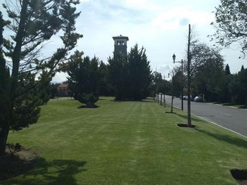 place photo 39