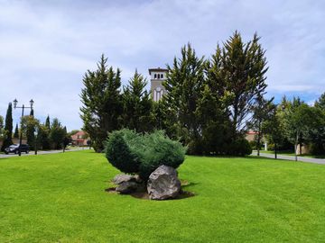 place photo 40