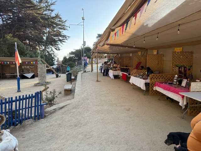 place photo 23