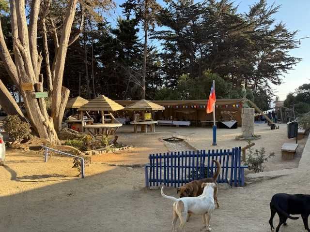 place photo 24