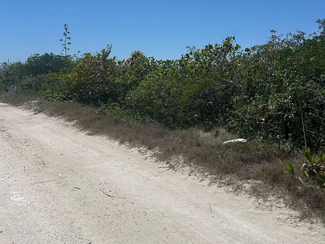 place photo 11