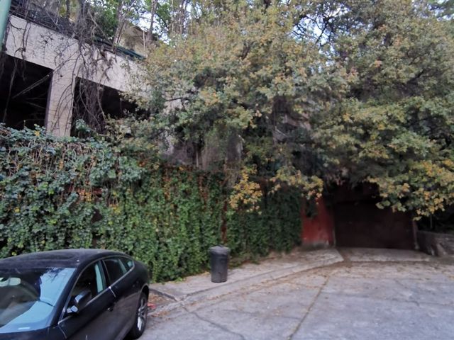 place photo 41