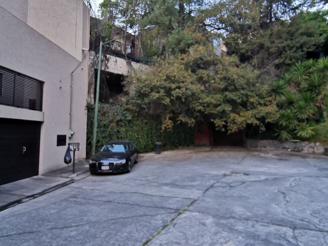 place photo 38