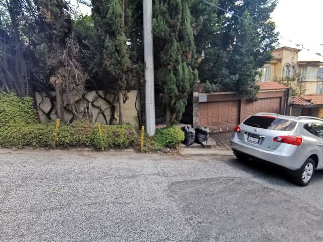 place photo 37