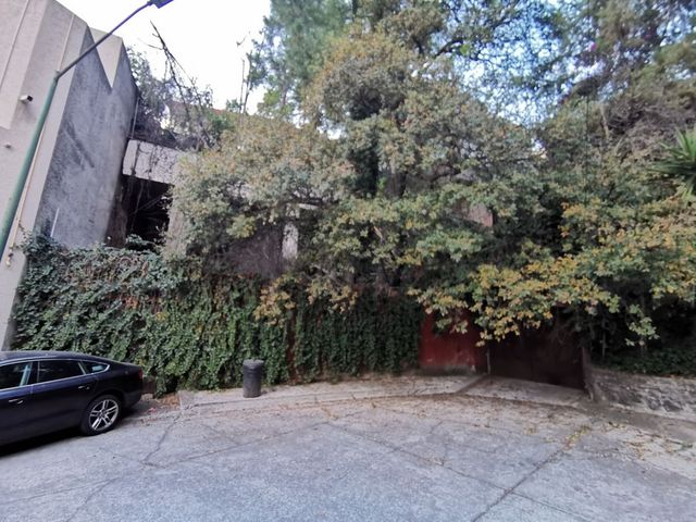 place photo 40